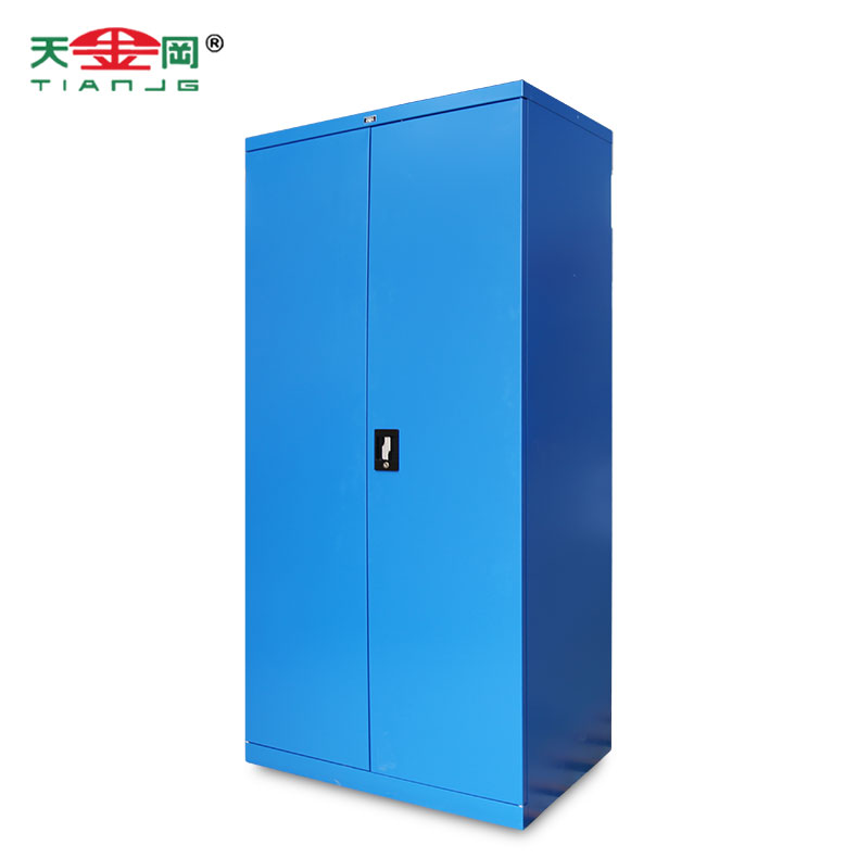 双开门工具柜厂家【天金冈】